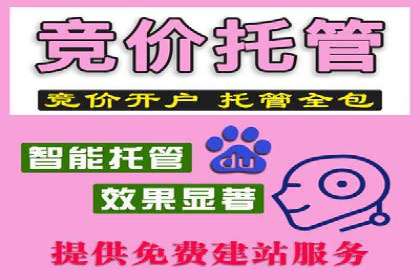 竞价推广成功案例：网络营销启示录